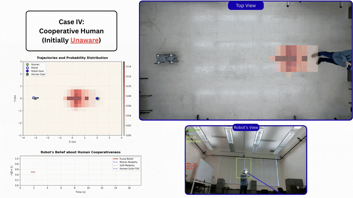 Dynamic Embedding Optimization